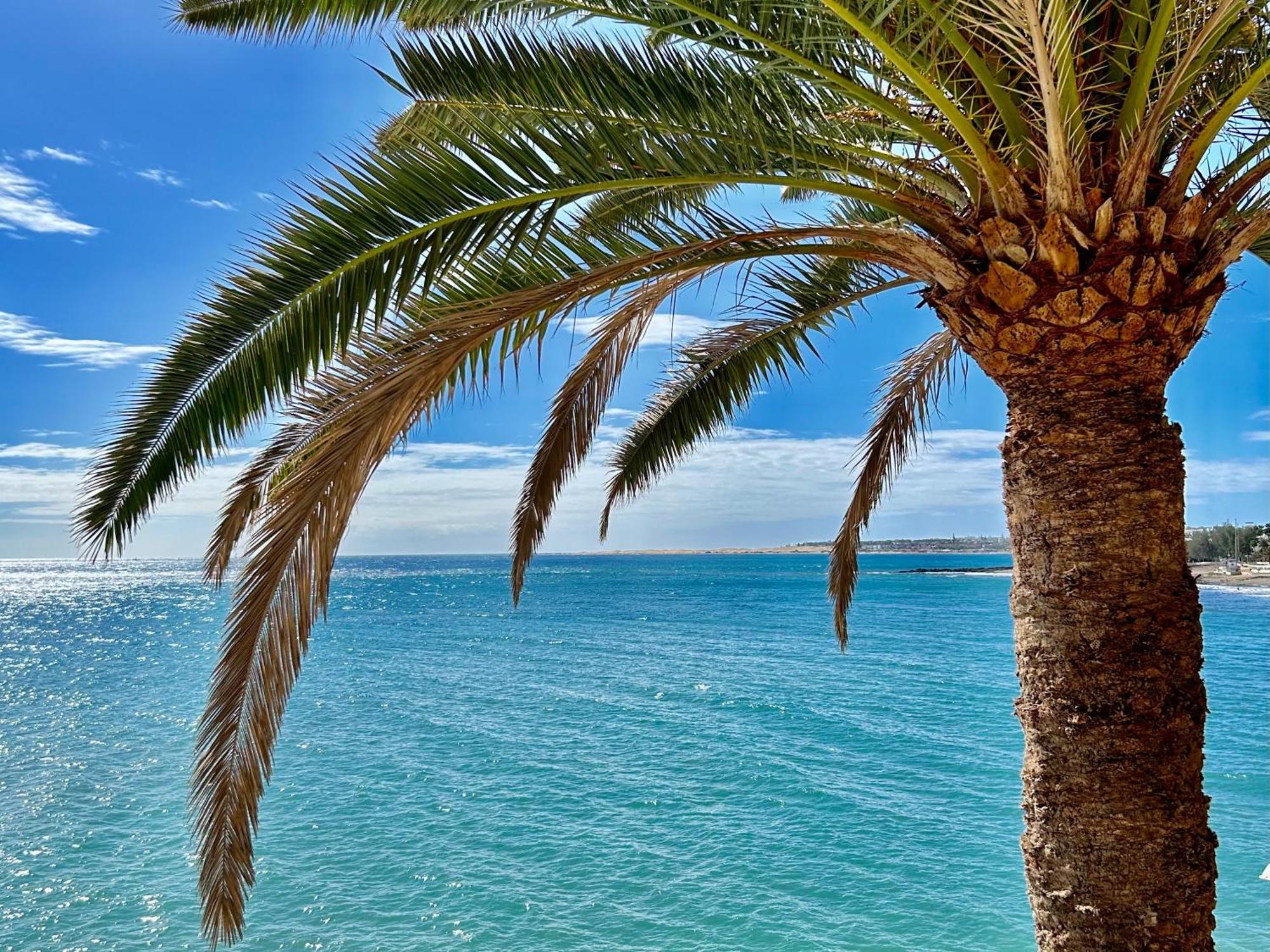 Sobre El Mar Con Vistas A Las Dunas De Maspalomas San Agustín Exteriér fotografie